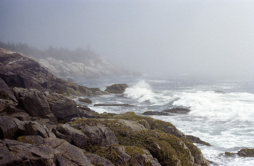 Acadia fog